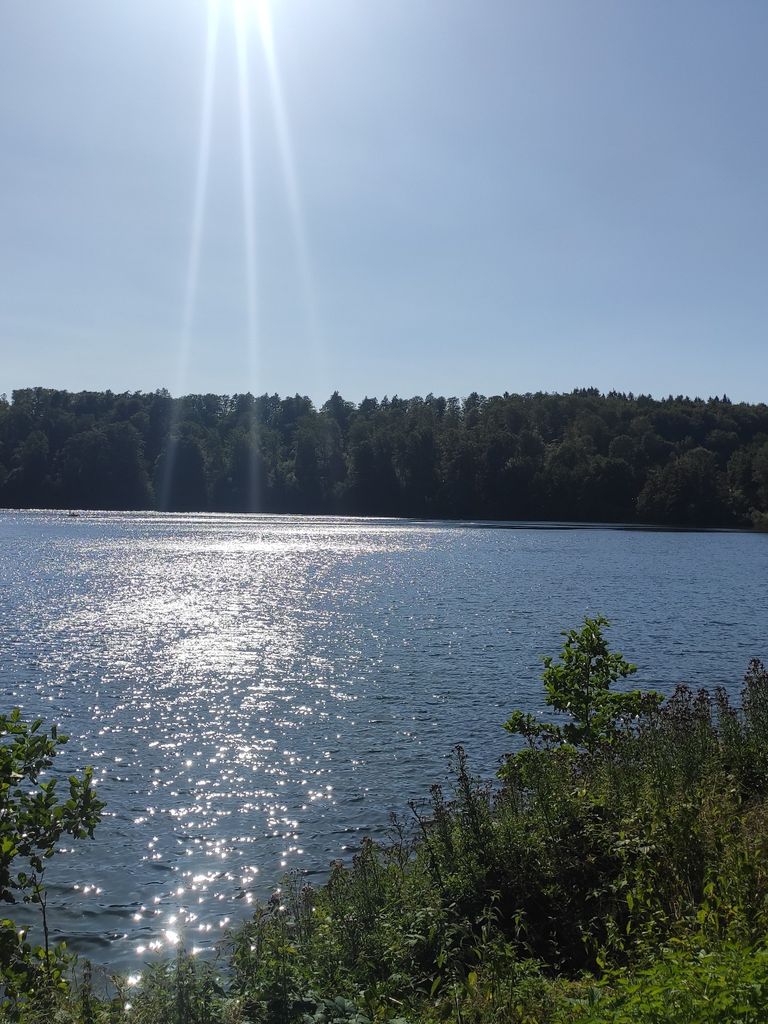 Pulvermaar Vulkankratersee Gillenfeld